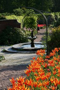 Kincardine Castle gardens