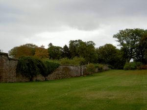 Airlie Castle gardens