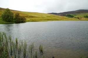 Brewlands Loch
