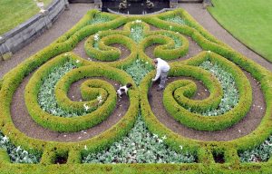Broughton Hall gardens maze