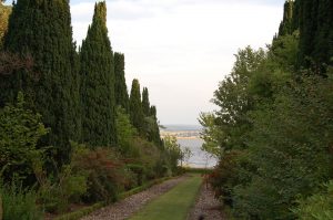 Binsness Estate Gardens