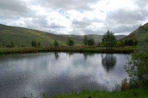 Tulchan Lodge pond