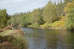 River Alness fishing