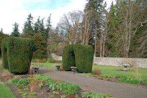 Murthly Castle grounds