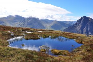 Black Corries Estate