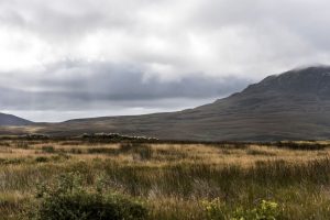 Kinloch Lodge estate