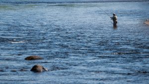 Mill of Dess river