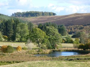 Brewlands Lodge Estate