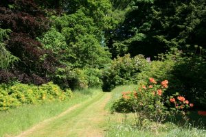 Aldourie Castle gardens