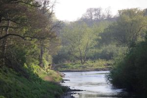 St Cuthberts river