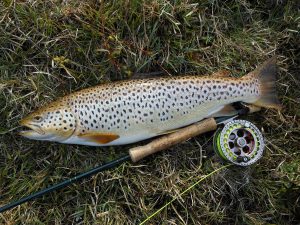 South Uist Estate, trout fishing